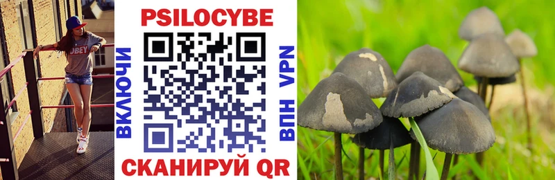 Галлюциногенные грибы Psilocybine cubensis  Купить закладки  Глазов 